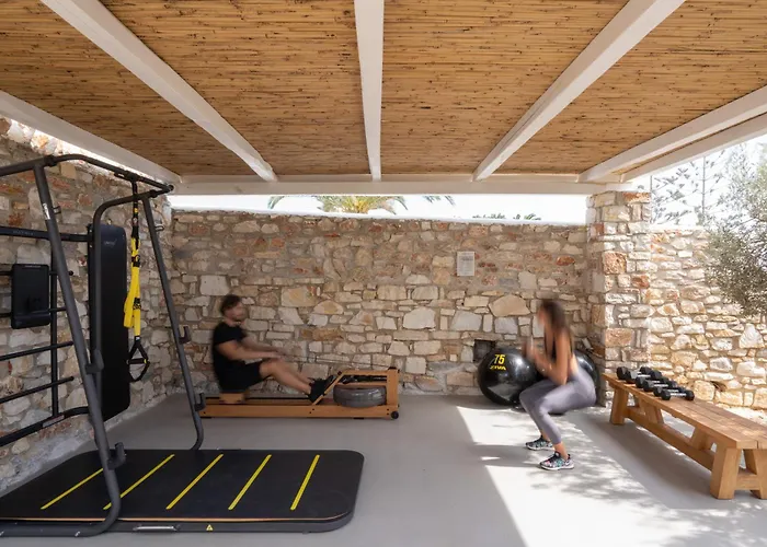 Dunes - Semi Based With Indoor Garden - Part Of White Dunes Luxury Boutique 4* Santa Maria (Paros)