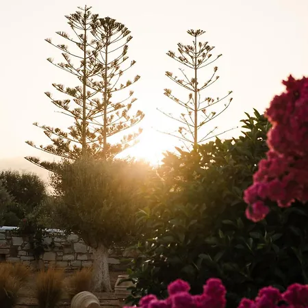 Panzió Dunes - Semi Based With Indoor Garden - Part Of White Dunes Luxury Boutique