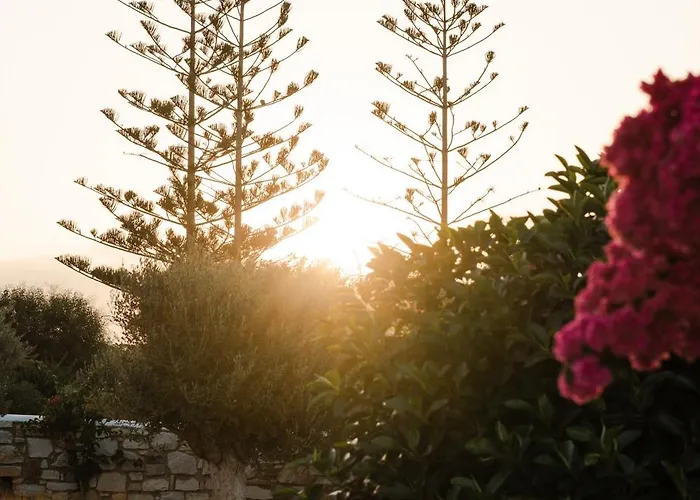 Oda ve Kahvaltı Dunes - Semi Based With Indoor Garden - Part Of White Dunes Luxury Boutique